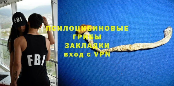 МДПВ Армянск