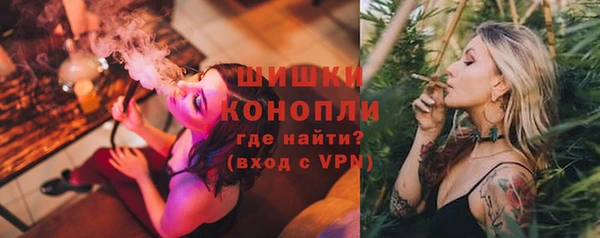 трава Сатка
