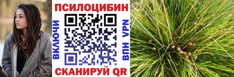 Галлюциногенные грибы GOLDEN TEACHER  как найти наркотики  Нязепетровск 