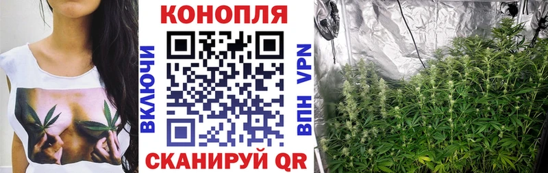 kraken ТОР  Нязепетровск  Шишки марихуана планчик 